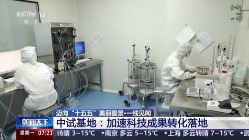 一線見聞丨順藤摸瓜 深圳科創(chuàng)青藤體系，如何賦能硬科技轉(zhuǎn)化？