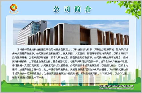 鑫峰茂 以技術(shù)服務(wù)為舟，奮力突破千層浪，勇者踏平萬(wàn)重山